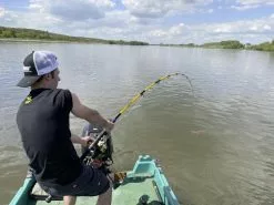 Black Cat Freestyle Spin Second Generation Catfish Rod -Line Elegant store 05d088a8bdc7abe6