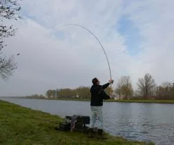 Cresta Identity Pro Tolerance Feeder -Line Elegant store 357e9ccf7c5cedd6