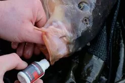 Ultimate All In One Wound Treatment -Line Elegant store 37cf17569d9f57f9