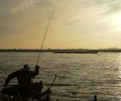 Cresta Identity Pro Tolerance Feeder -Line Elegant store 3b9cb9e4c9b2ab8d