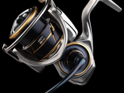 Daiwa 20 Airity LT