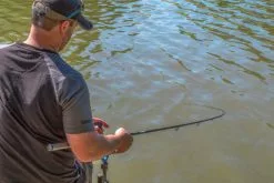 PRESTON INNOVATIONS Preston Ignition Carp Feeder -Line Elegant store a72e42dbd39cf67f