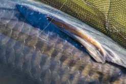 PB Products Ghost Dragonfly Fluorocarbon 400m -Line Elegant store b0db89ad26f73054