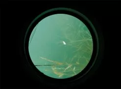 Carp Spirit Water Scanner -Line Elegant store c00e1df0dca723b7