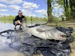 Black Cat Freestyle Spin Second Generation Catfish Rod -Line Elegant store c69aa7a134ae860b