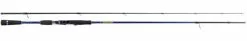 Molix Saltwater Squid Spinning Rod